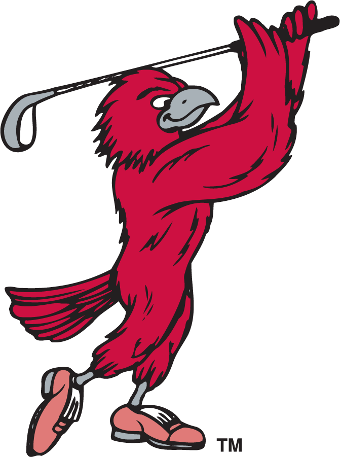 St. Joseph's Hawks 1995-2002 Secondary Logo v3 iron on transfers for T-shirts